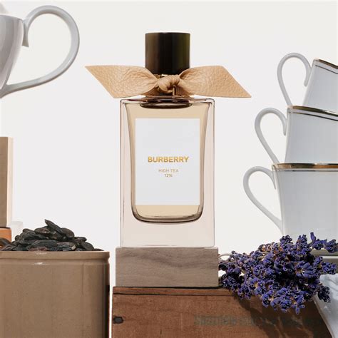 burberry body shop on line|burberry signatures for men.